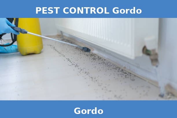 PEST CONTROL Gordo